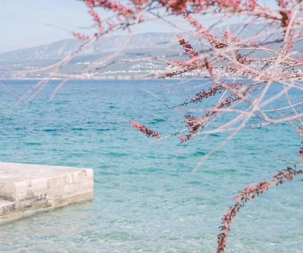 Pavi Amalia Appartement