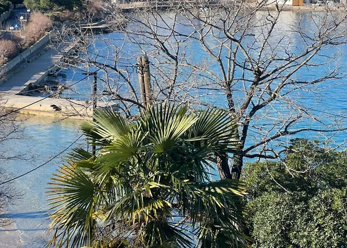 Apartman Pavi Amalia *